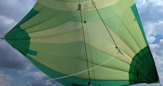 CNBO Voile verte