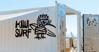 Kiwi-03994
