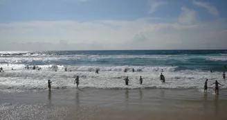 baignade-bisca-ocean-plage baignade-bisca-ocean-plage
