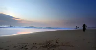 balade-ocean-plage-bisca balade-ocean-plage-bisca