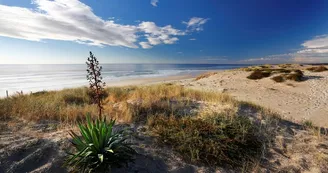 plage-oceane-bisca plage-oceane-bisca