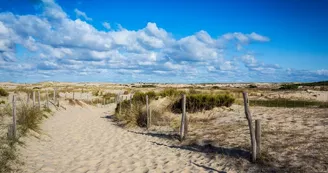 plage-oceane-biscarrosse plage-oceane-biscarrosse
