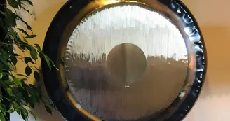 Vibralame GONG Vibralame GONG