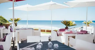 Resto de la plage terrasse2 Resto de la plage terrasse2