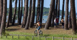 biscarrosse-pistes-cyclables.jpg