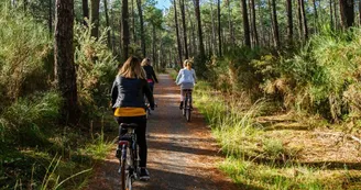 piste-cyclable-lue-labouheyre.jpg piste-cyclable-lue-labouheyre.jpg