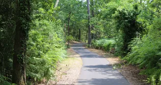 pistes-cyclables-3.jpg pistes-cyclables-3.jpg