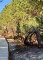 sentier-interpretation-vivier-bisca12